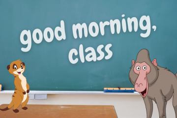 meerkat and baboon stand in front of a chalkboard that says "good morning, class"